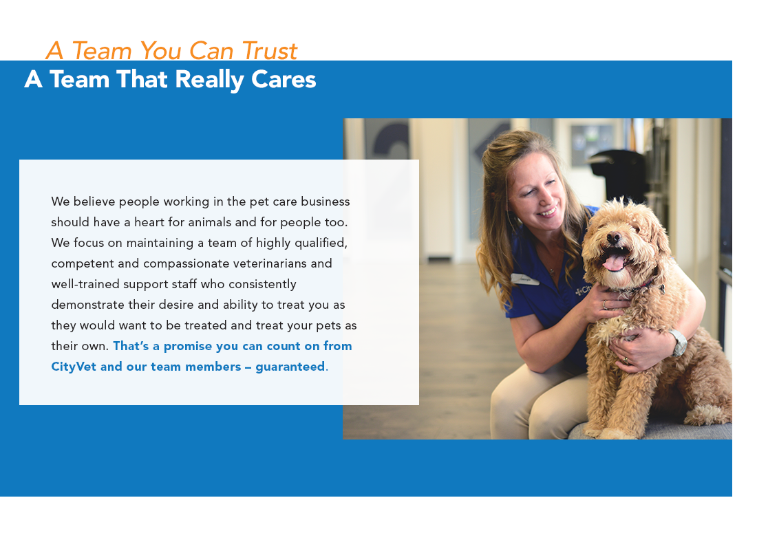 A support team and veterinarians - a team you can trust