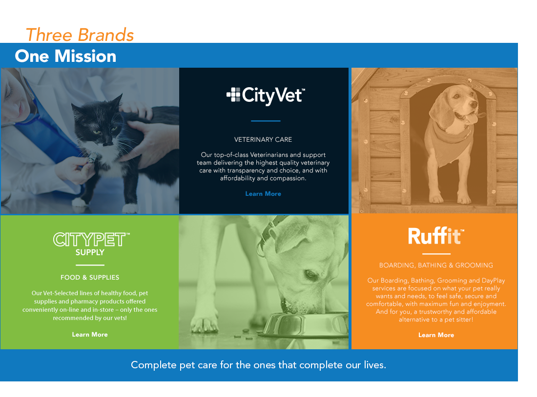 The CityVet Brands - CityVet, CityPet, and Ruffit.