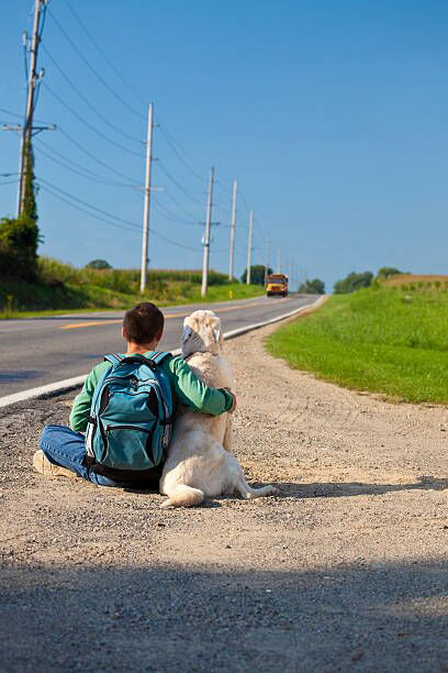 Back to School Tips for Pets