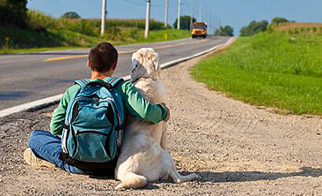 Back to school tips for pets