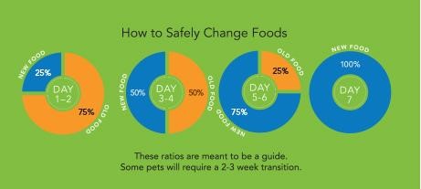 Schedule - how to safely change foods