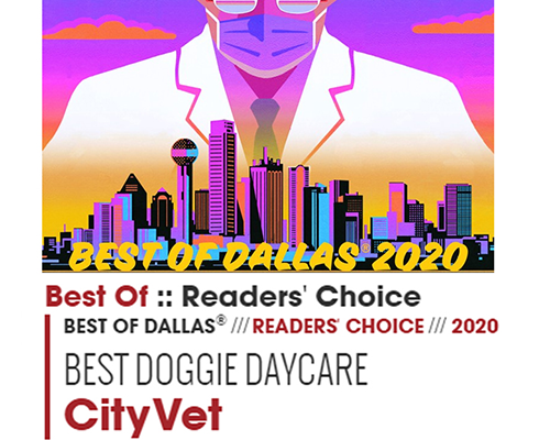 CityVet voted Dallas Best Doggie DayCare