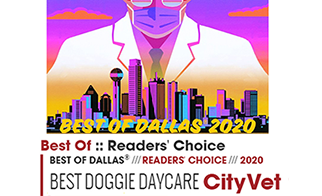 CityVet voted Dallas Best Doggie DayCare