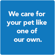 We care for your pet like one of our own