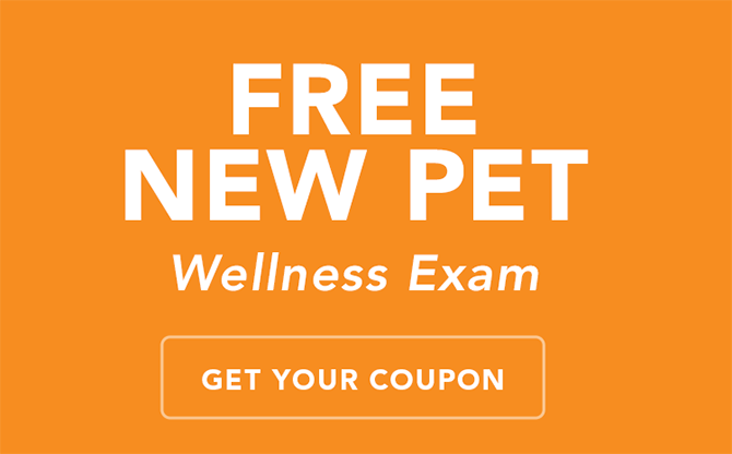 free new pet exam coupon