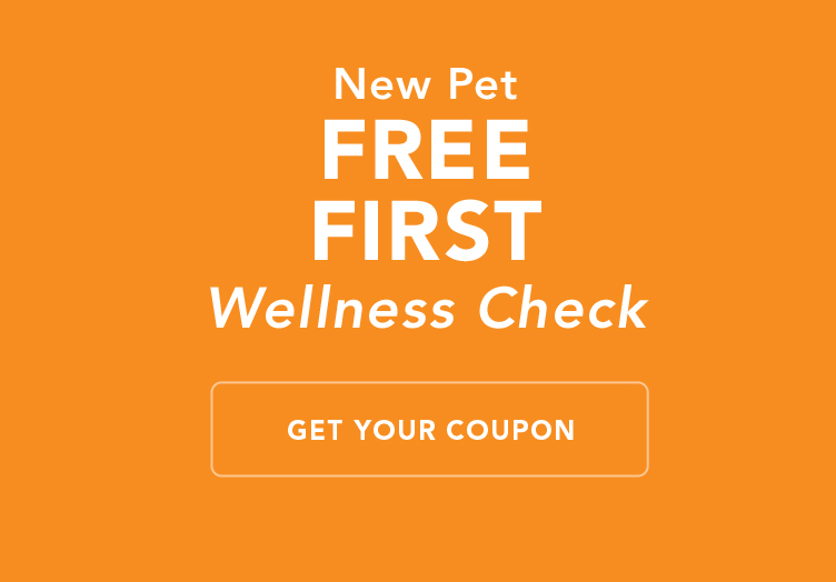 get your free wellness check coupon